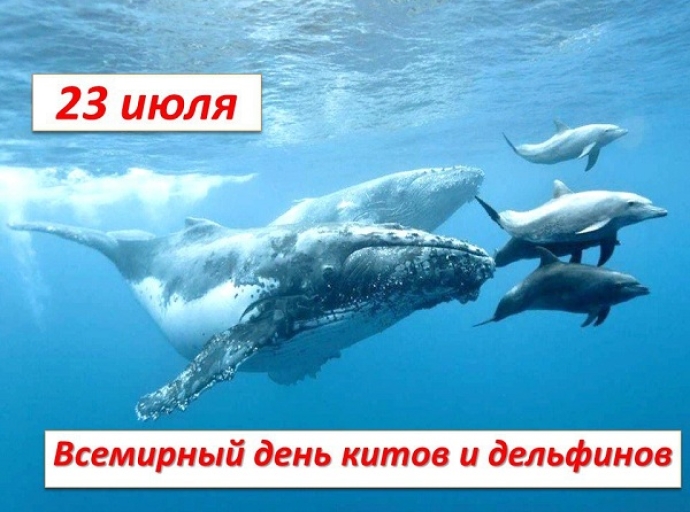23 июля — Всемирный день китов и дельфинов