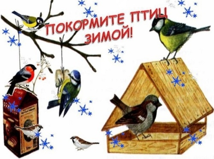Всероссийский день зимующих птиц