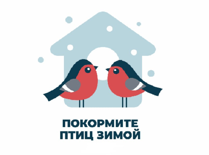 Природоохранная акция «Покормите птиц зимой»