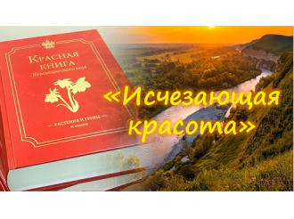 Эко-путешествие по страницам Красной книги Кубани «Исчезающая красота»